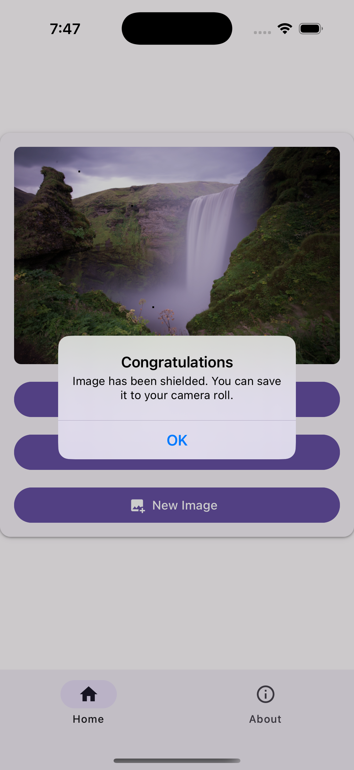 Screenshot 5